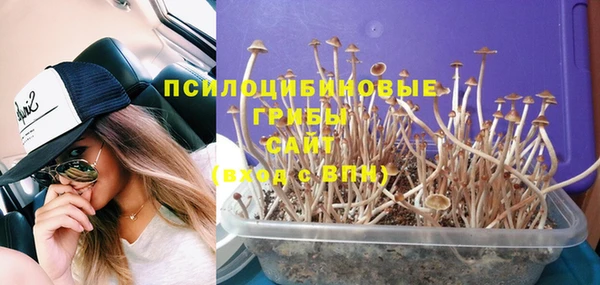 метадон Белокуриха